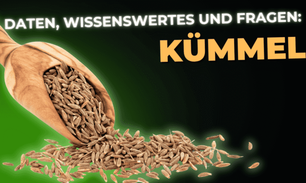 Lebensmittel-Wissen: Kümmel