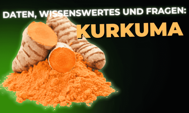 Lebensmittel-Wissen: Kurkuma