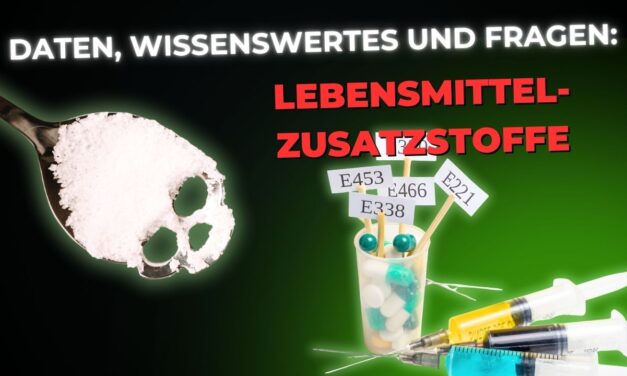 E-Nummern in Deutschland: Alles über Lebensmittelzusatzstoffe