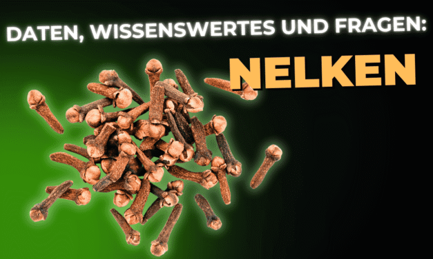 Lebensmittel-Wissen: Nelken