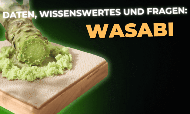 Lebensmittel-Wissen: Wasabi