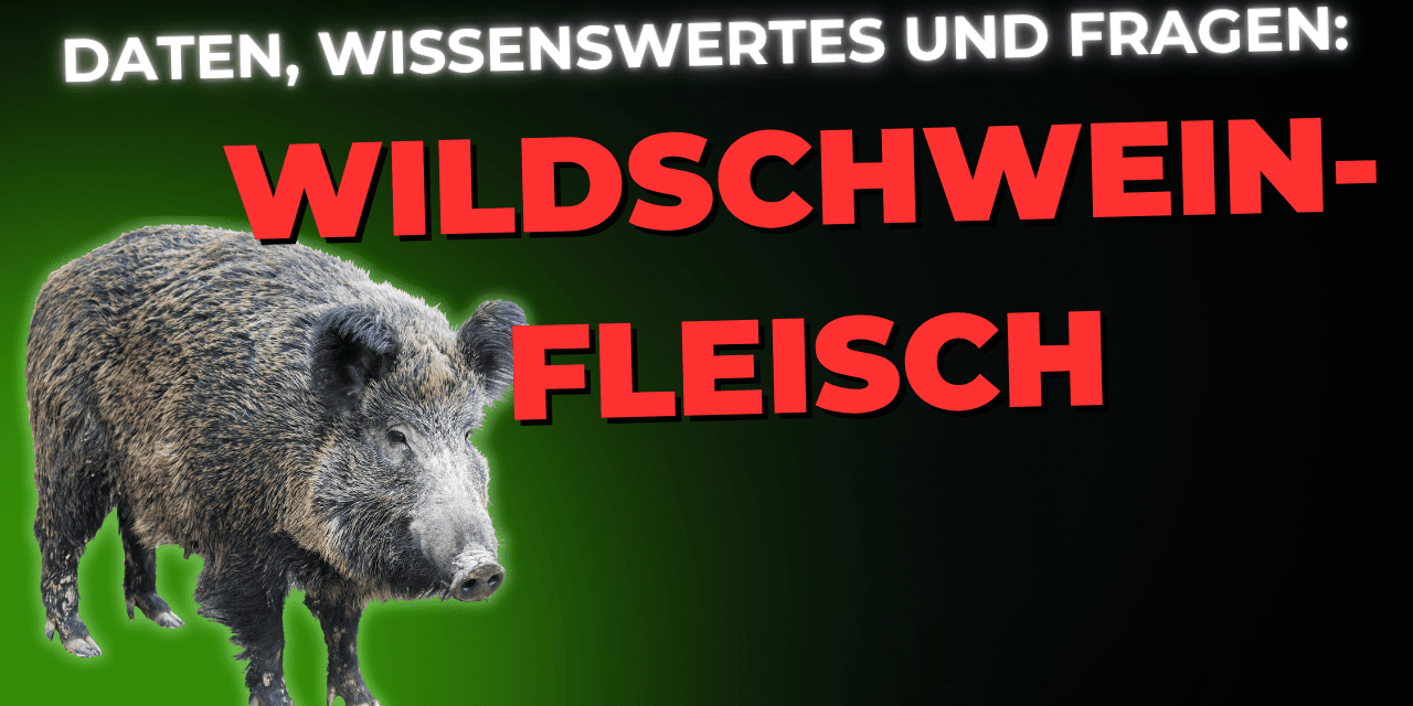 Lebensmittel-Wissen: Wildschweinfleisch