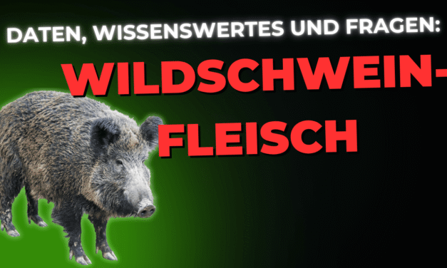 Lebensmittel-Wissen: Wildschweinfleisch