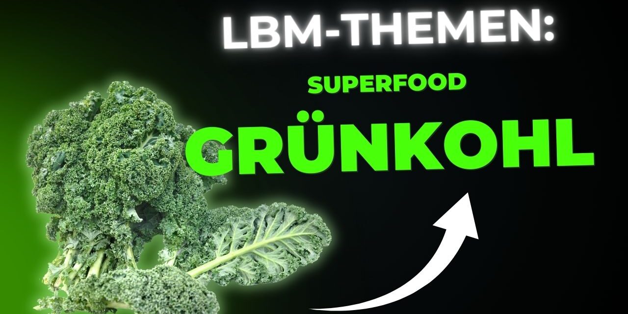 Grünkohl: Das heimische Superfood neu entdeckt