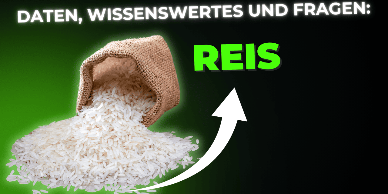 Lebensmittel-Wissen: Reis
