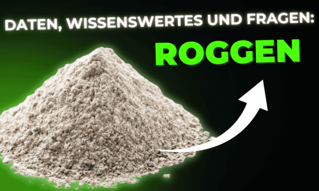 Lebensmittel-Wissen: Roggen
