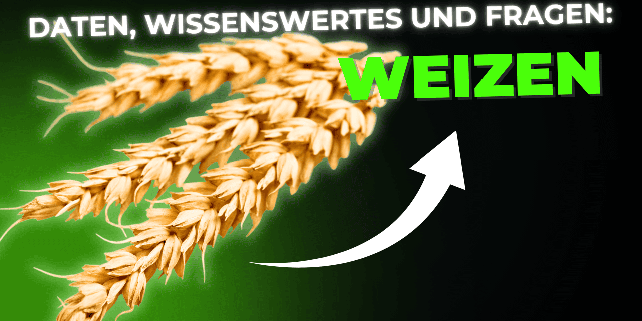 Lebensmittel-Wissen: Weizen