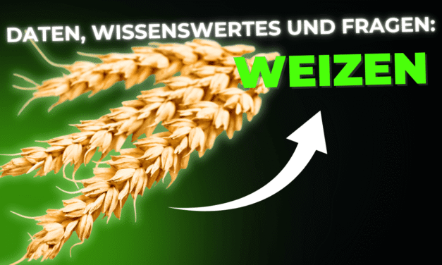 Lebensmittel-Wissen: Weizen